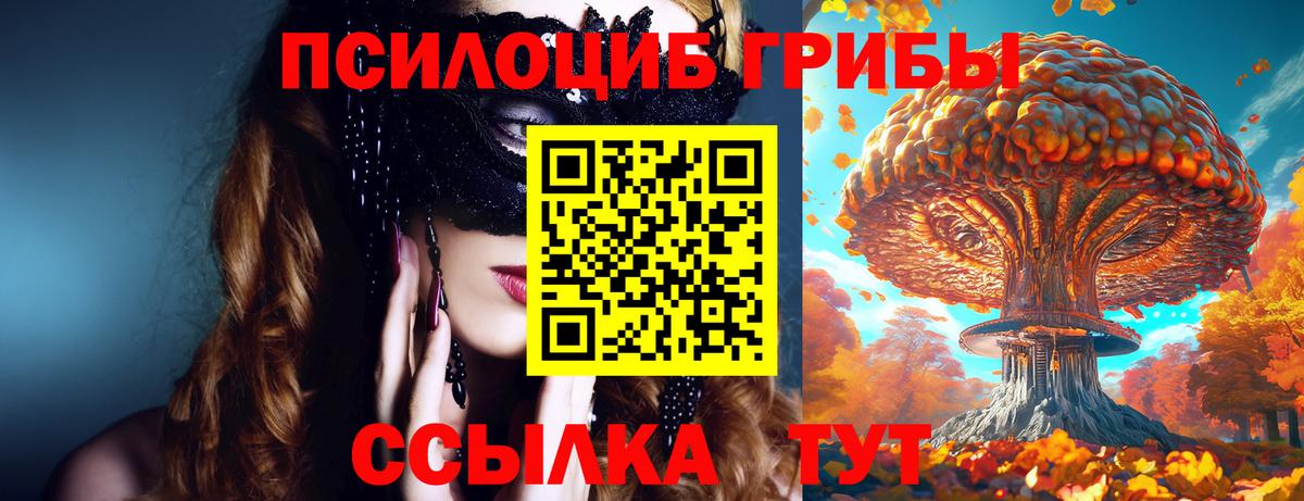 Псилоцибиновые грибы мухоморы Острогожск